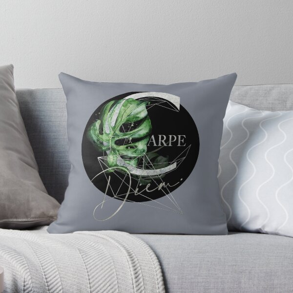 Carpe Diem – Inspiring quote in silver Throw Pillow