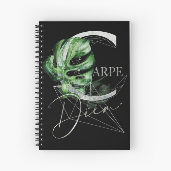 Carpe Diem – Inspiring quote in silver Spiral Notebook