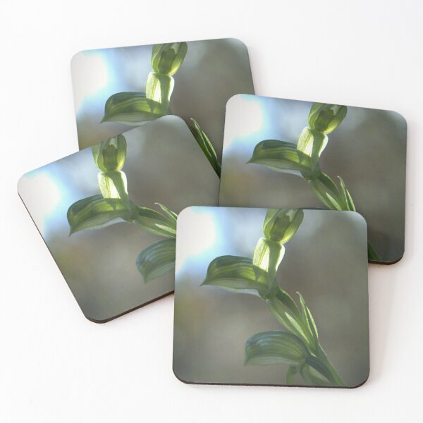 Item preview, Sun Seeker designed and sold by Ben Loveday.