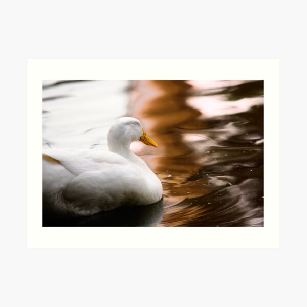 relax Art Print