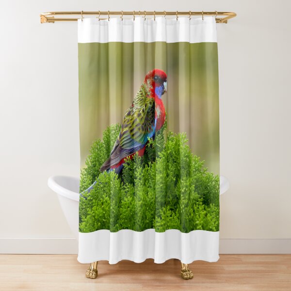Rosella Shower Curtain