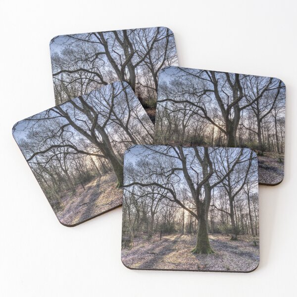 Item preview, Early Morning Forest designed and sold by Londonimages.