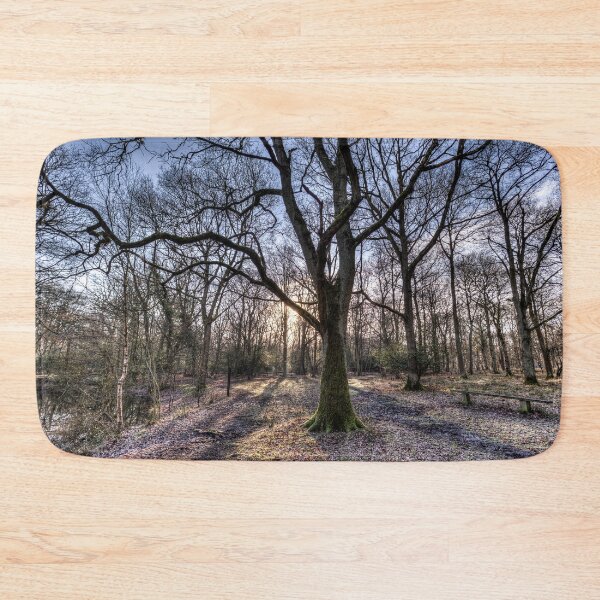 Item preview, Early Morning Forest designed and sold by Londonimages.