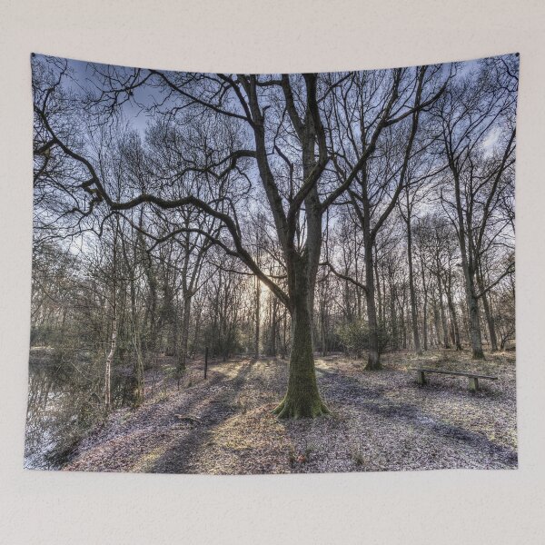 Item preview, Bosque temprano en la mañana designed and sold by Londonimages.
