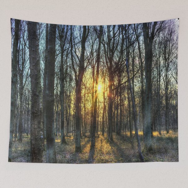 Item preview, Early Morning Forest designed and sold by Londonimages.