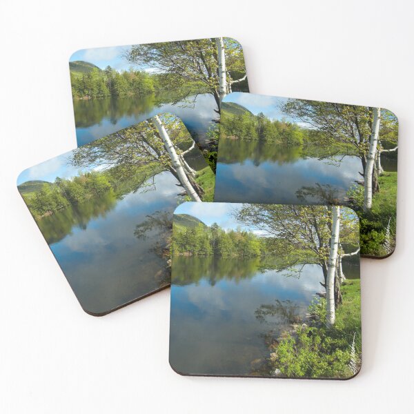 Item preview, Spring Birch Woodard Reservoir, Vermont designed and sold by srwdesign.