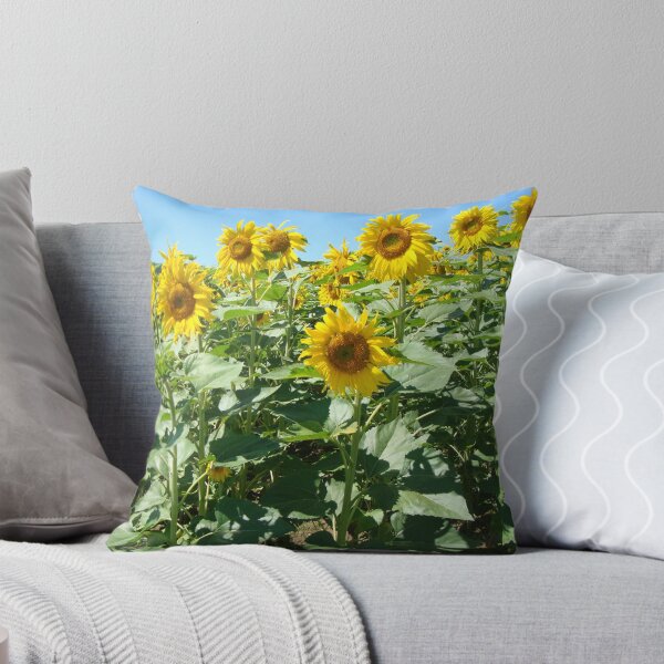Item preview, Natur, Landschaft, Sonnenblumen, Feld, gelb, Fotografie, BebiCervin designed and sold by BebiCervin.