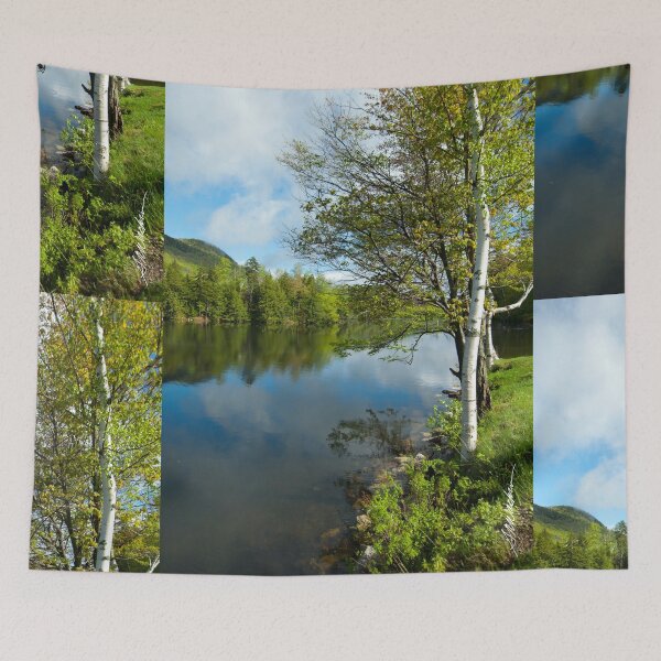 Item preview, Spring Birch Woodard Reservoir, Vermont designed and sold by srwdesign.