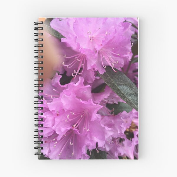Item preview, Atlanta, GA.  -- Spring Blooms I   designed and sold by zwrr16.
