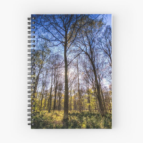 Item preview, The Ancient Forest designed and sold by Londonimages.