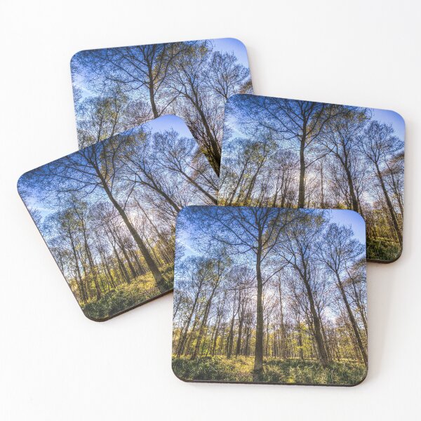 Item preview, The Ancient Forest designed and sold by Londonimages.