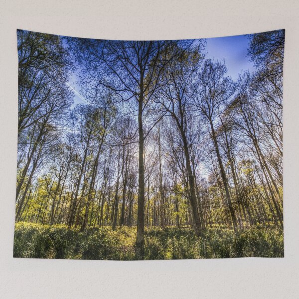 Item preview, The Ancient Forest designed and sold by Londonimages.