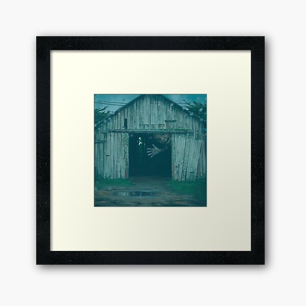 Barn Owl Framed Art Print