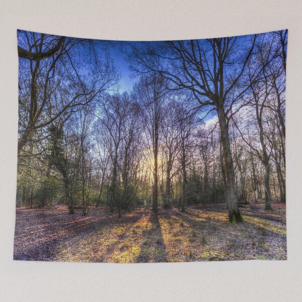 Item preview, The Morning Sun Forest designed and sold by Londonimages.