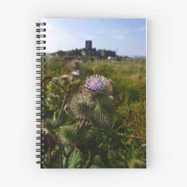 Item preview, Lesser Burdock (Arctium minus) designed and sold by IOMWildFlowers.