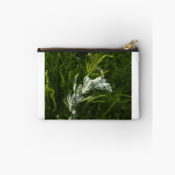 Item preview, Mugwort (Artemisia vulgaris) designed and sold by IOMWildFlowers.