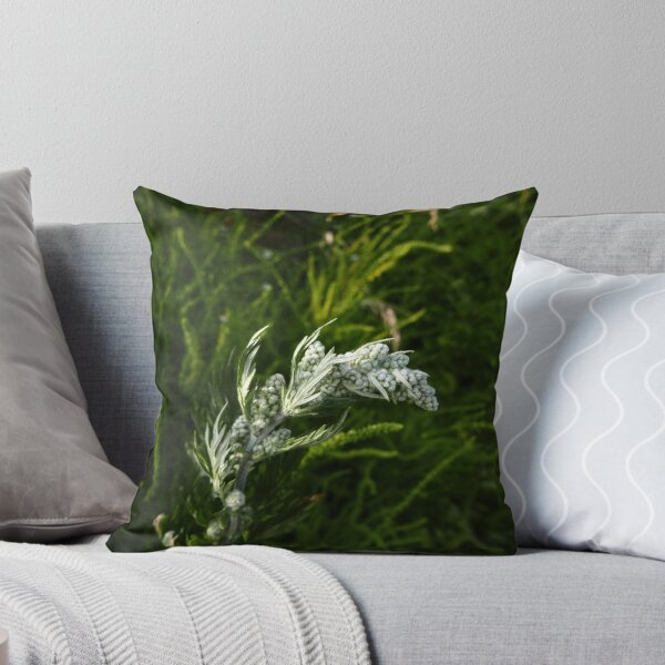 Item preview, Mugwort (Artemisia vulgaris) designed and sold by IOMWildFlowers.