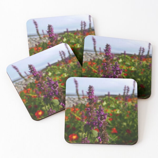 Item preview, Hedge Woundwort (Stachys sylvatica) designed and sold by IOMWildFlowers.