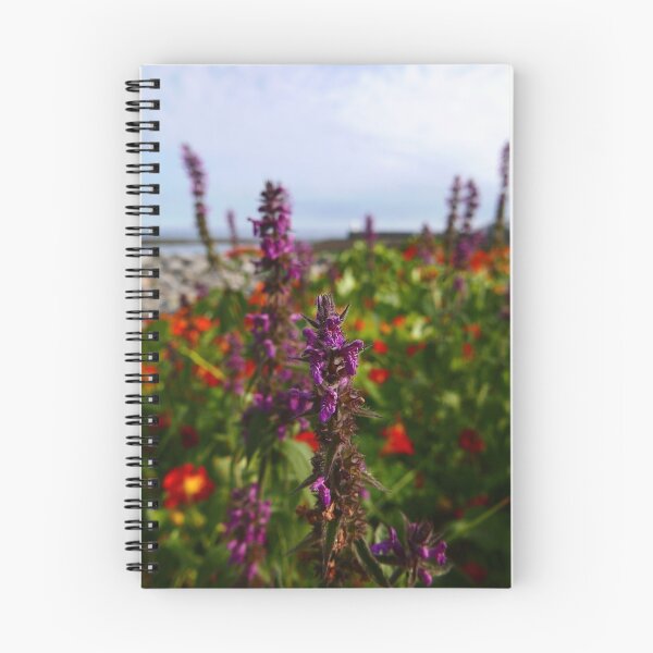 Item preview, Hedge Woundwort (Stachys sylvatica) designed and sold by IOMWildFlowers.