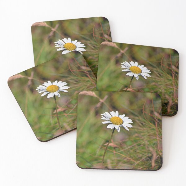 Item preview, Daisy, daisy, give me your answer do ! designed and sold by Photography  by Mathilde.