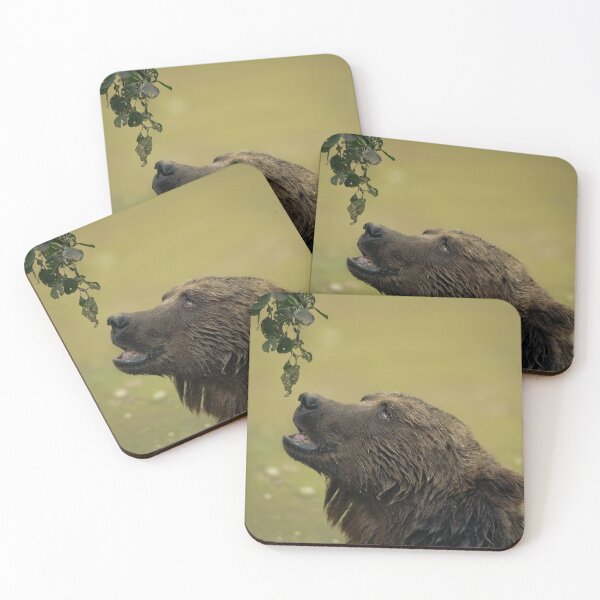 Item preview, Bear Longing For Those Leaves designed and sold by rawshutterbug.