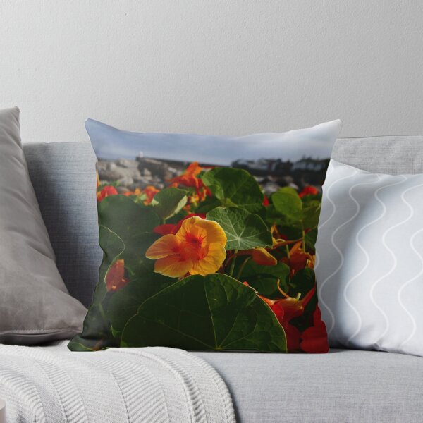 Item preview, Nasturtium (Tropaeolum) designed and sold by IOMWildFlowers.