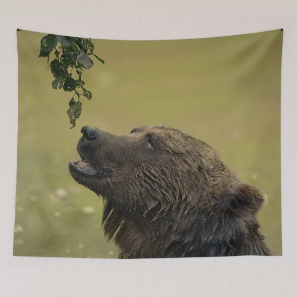 Item preview, Bear Longing For Those Leaves designed and sold by rawshutterbug.