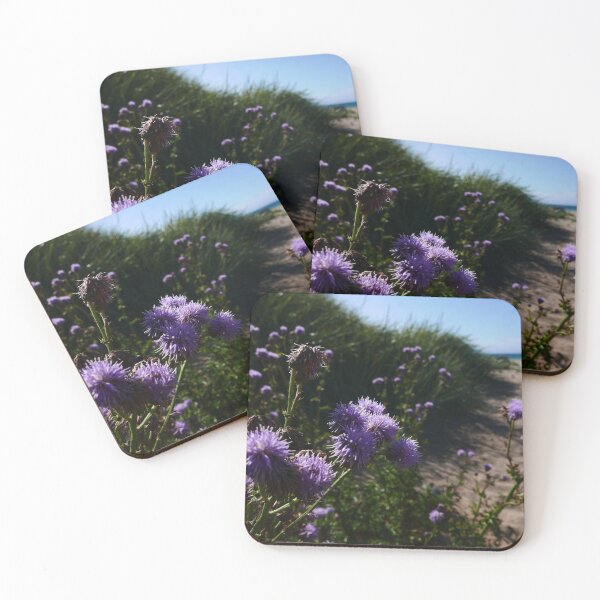 Item preview, Creeping Thistle (Cirsium arvense) designed and sold by IOMWildFlowers.