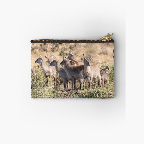 Item preview, A Group of Waterbucks at Biyamiti Weir - Kruger NP, South Africa designed and sold by holgermader.