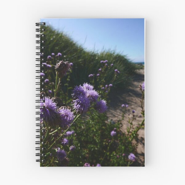 Item preview, Creeping Thistle (Cirsium arvense) designed and sold by IOMWildFlowers.