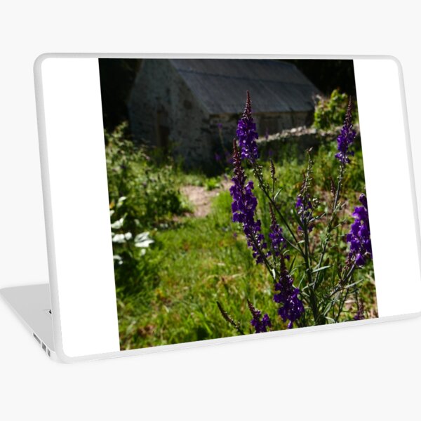 Macbook Air 13" (2015)