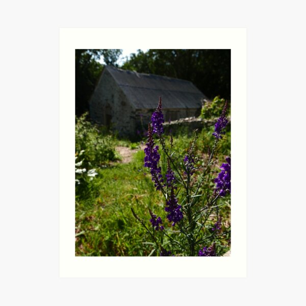 Art Print