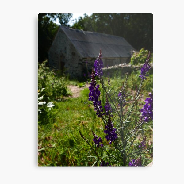 Metal Print
