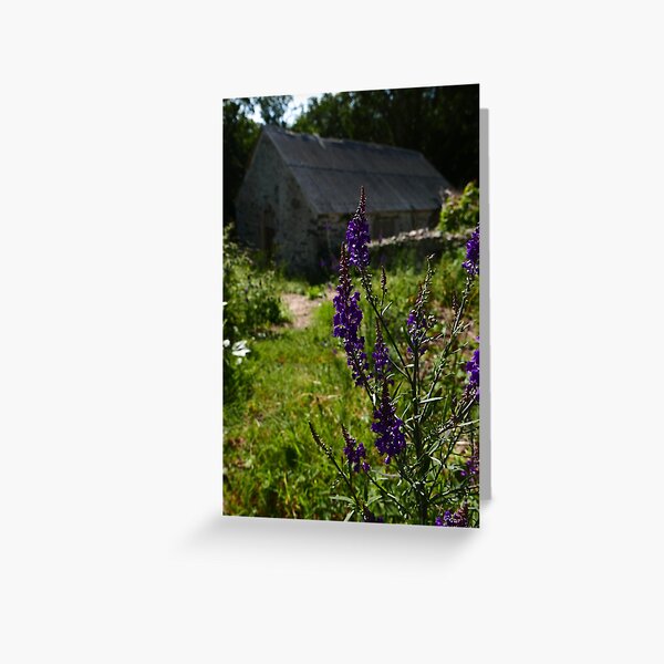 Greeting Card