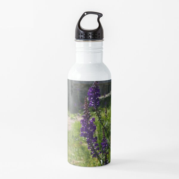 Water Bottle