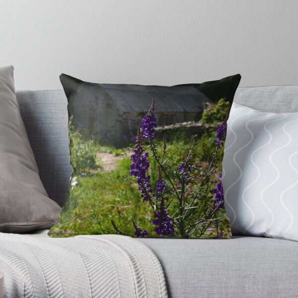 Throw Pillow
