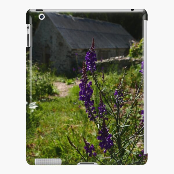 iPad Retina/3/2 - Snap