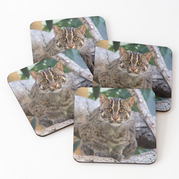 Item preview, Here's Looking at You! designed and sold by Kasia Design.
