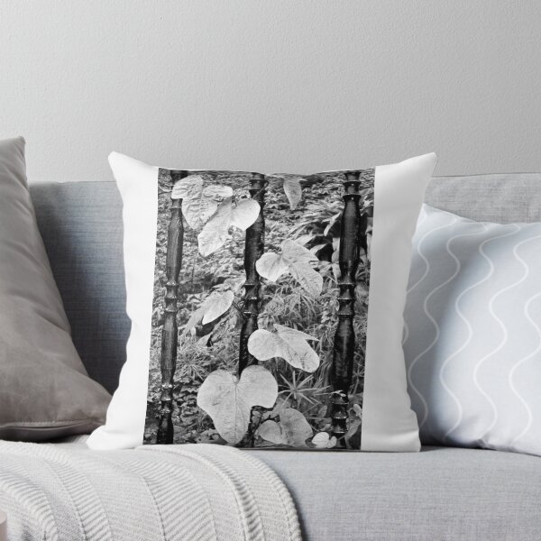 Item preview, Plantas trepadoras designed and sold by Gaspar Avila.