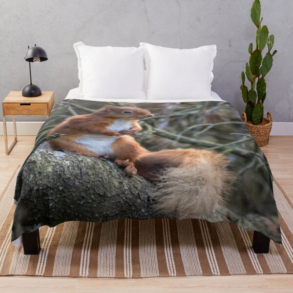 Item preview, Cute little wild woodland red squirrel in the branches designed and sold by HaleyRedshaw.