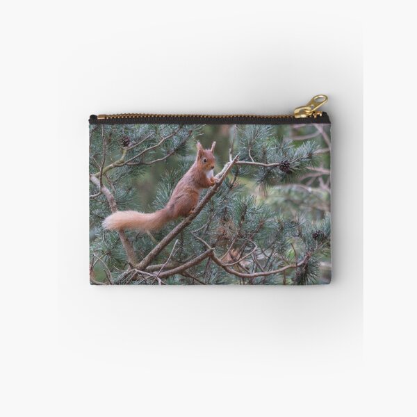 Item preview, red squirrel in the trees designed and sold by HaleyRedshaw.