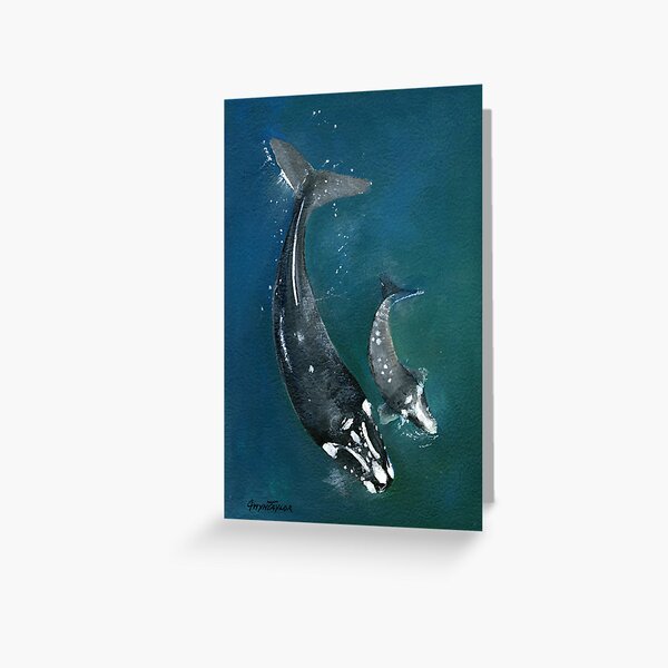 Item preview, Mum & Baby Southern Right Whales designed and sold by gwyntay.