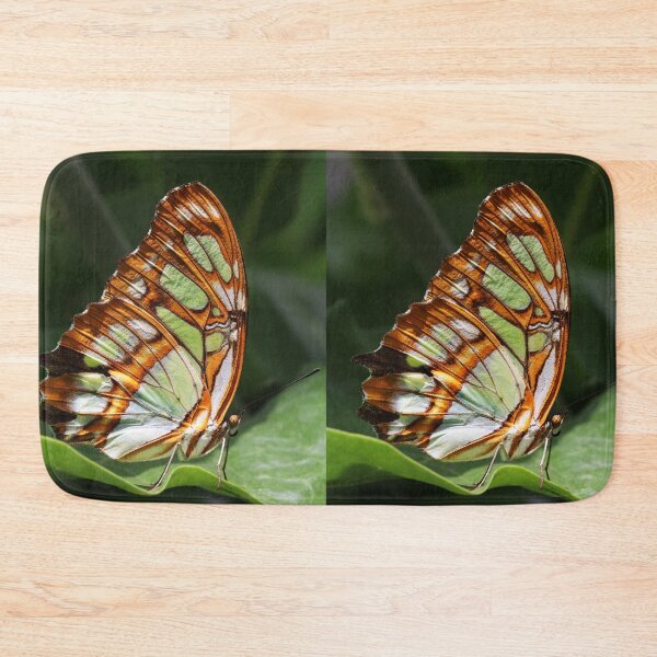 Item preview, Malachite (Siproeta stelenes) - Malachit-Falter designed and sold by holgermader.