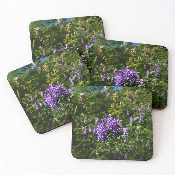 Item preview, Tufted Vetch (Vicia cracca) designed and sold by IOMWildFlowers.