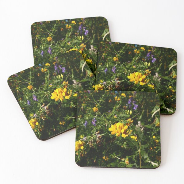 Item preview, Greater Bird's-foot Trefoil (Lotus pedunculatus) designed and sold by IOMWildFlowers.