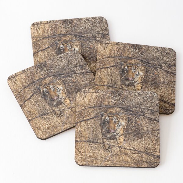 Item preview, Meow pussy cat - Tiger having a look at Ranthambore in India designed and sold by walks4000.