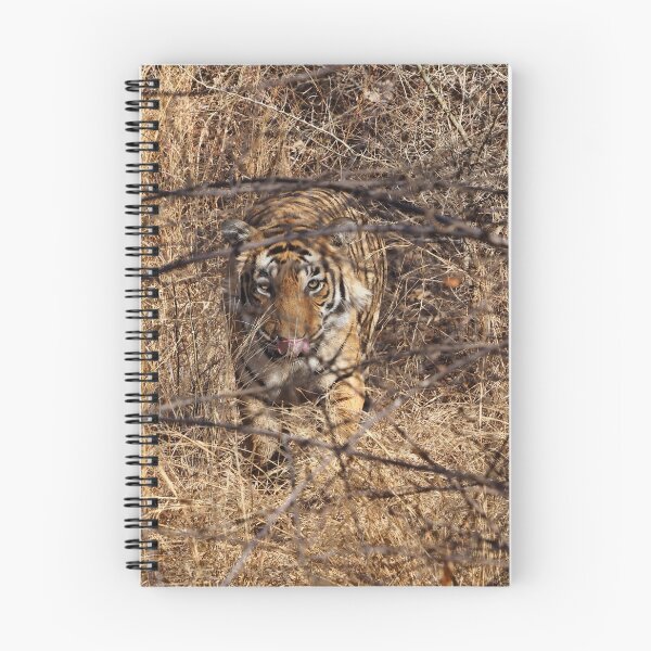 Item preview, Meow pussy cat - Tiger having a look at Ranthambore in India designed and sold by walks4000.