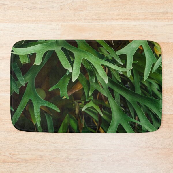 Item preview, Platycerium Wallichii Hook Fern designed and sold by Chee Sim.