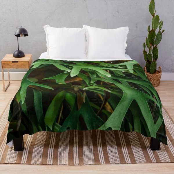 Item preview, Platycerium Wallichii Hook Fern designed and sold by Chee Sim.