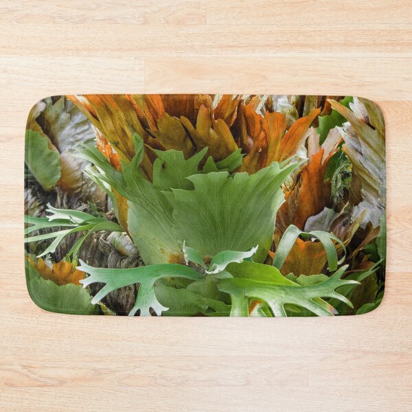 Item preview, Mature Form of Staghorn Ferns designed and sold by Chee Sim.